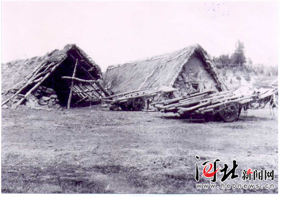 在燕赵大地续写绿色传奇