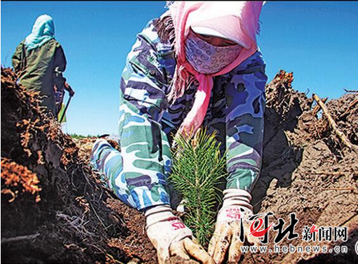 在燕赵大地续写绿色传奇