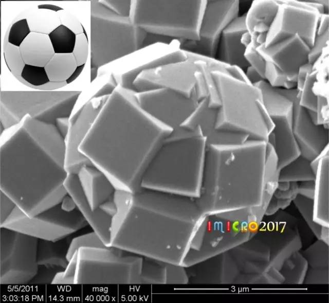 微观星球显微镜下的奇妙世界,显微镜下的奇妙世界视频