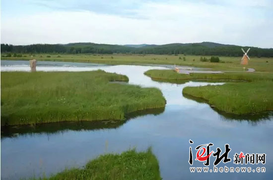 在燕赵大地续写绿色传奇