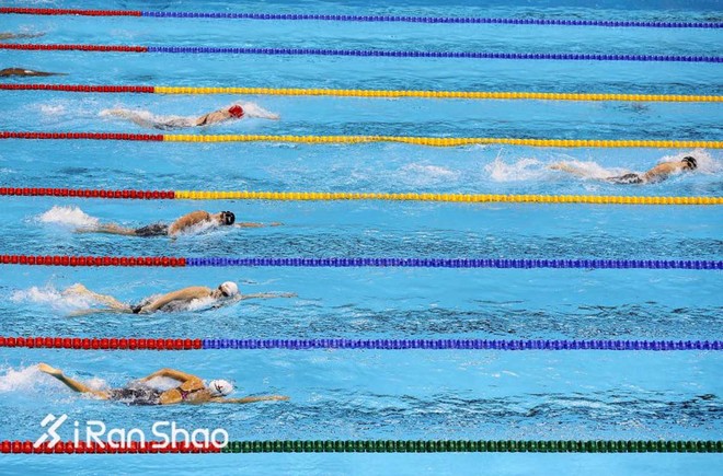 时代周刊2017十佳影片,时代周刊年度最佳