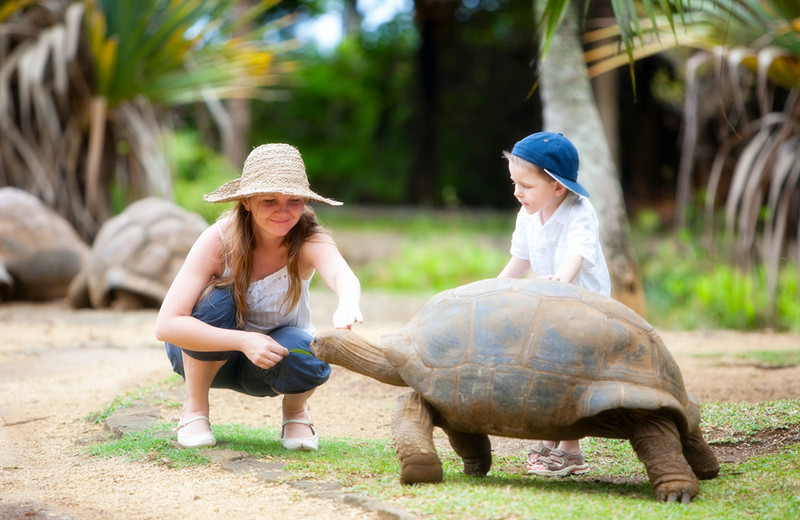 免签就能去的最梦幻之地,超梦幻旅游胜地一生值得去一次