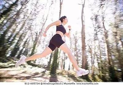 「提醒」三伏天翻译为“DogDays”，说“热成狗”也不无道理……