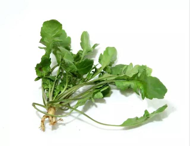 对眼睛干涩有好处的食物,缓解眼劳累改善视力多吃7种水果