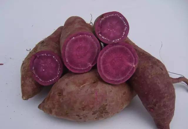 对眼睛干涩有好处的食物,缓解眼劳累改善视力多吃7种水果