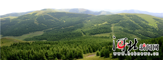在燕赵大地续写绿色传奇