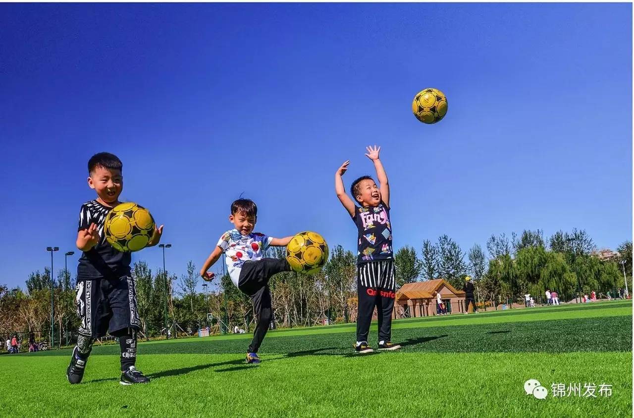 锦州特色学校名单,锦州有什么好学校
