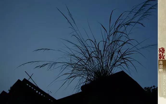 鼓浪屿申遗过程,鼓浪屿申遗40年成功了吗