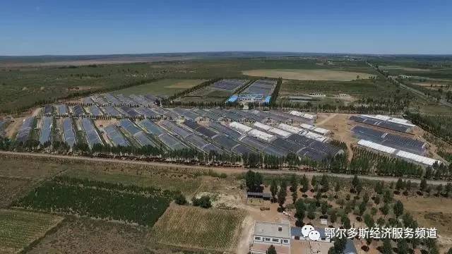 伊金霍洛旗7个儿女“才艺”大比拼~看看你支持谁