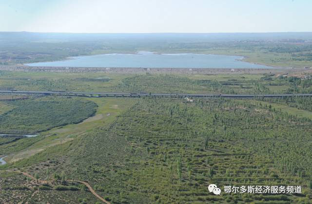 伊金霍洛旗7个儿女“才艺”大比拼~看看你支持谁