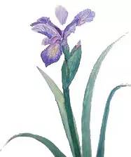 邛崃市2019年优秀教师,2017邛崃优秀青年教师