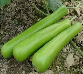 灏忔殤鑷崇洓澶忓杩欎簺椋熺墿娓呭噳娑堟殤,鍋氬悆鐡滅兢浼椾韩娓呭噳澶忔棩