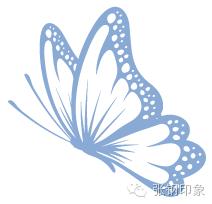 张钢张铁,张钢真实照片大全