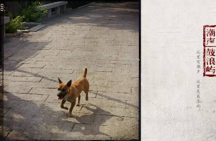 鼓浪屿申遗过程,鼓浪屿申遗40年成功了吗