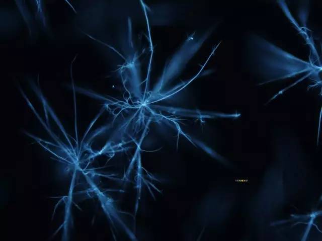 微观星球显微镜下的奇妙世界,显微镜下的奇妙世界视频