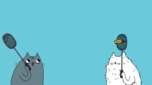 宝体体育节即将开幕！小编带你提前看，5大超精彩活动！