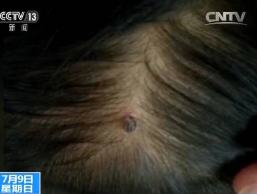 早啊！新闻来了〔2017.07.10〕