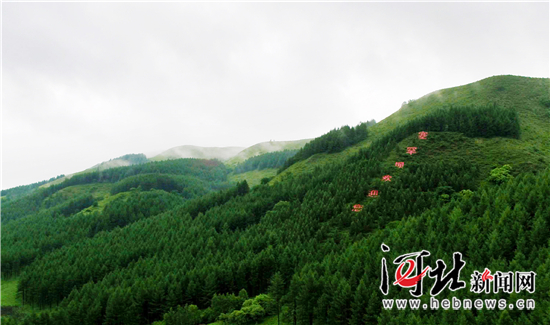 在燕赵大地续写绿色传奇