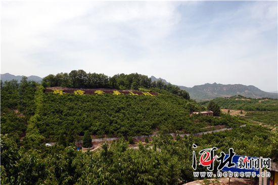 在燕赵大地续写绿色传奇