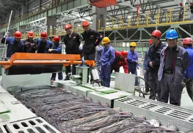 张钢张铁,张钢真实照片大全