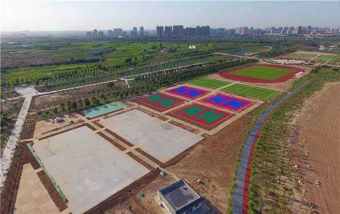 咸阳美丽的渭河湿地公园,咸阳生态湿地公园