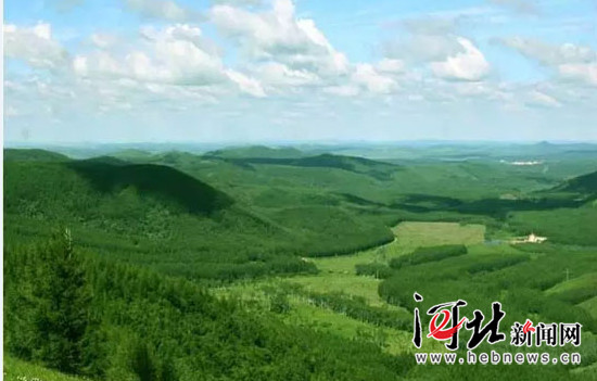 在燕赵大地续写绿色传奇