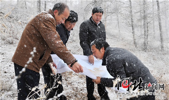 在燕赵大地续写绿色传奇