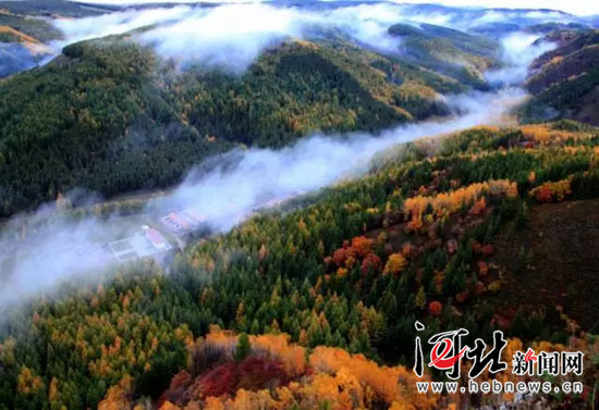 在燕赵大地续写绿色传奇