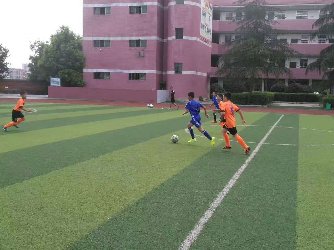 邵阳市中小学生足球比赛2024,邵阳市中小学足球比赛