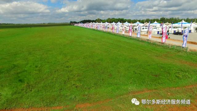 伊金霍洛旗7个儿女“才艺”大比拼~看看你支持谁