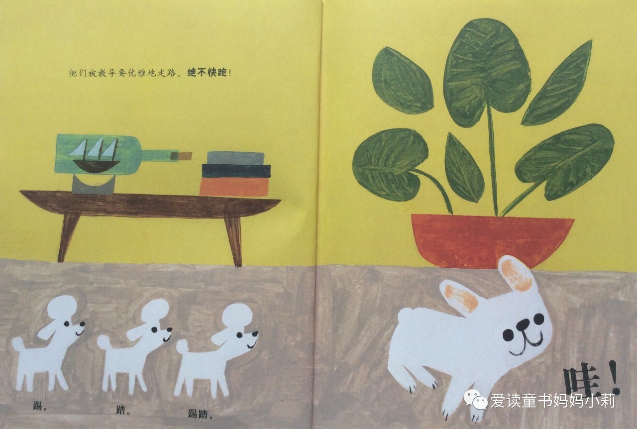 农场主，家庭主妇，音乐家，巴菲特为什么不让孩子继承自己的商业帝国