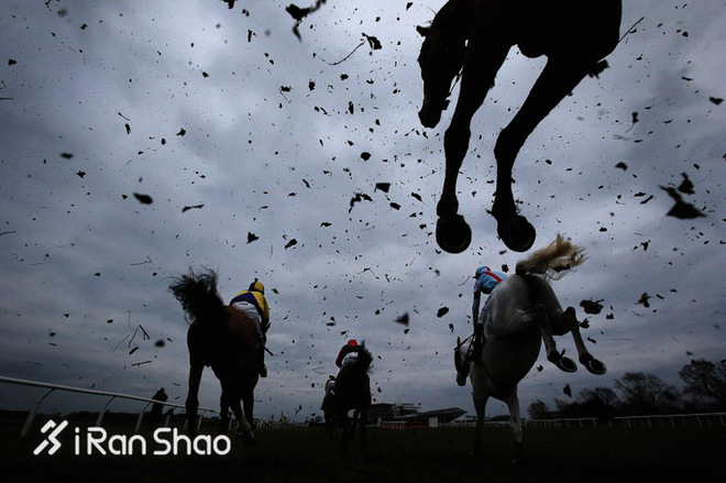 时代周刊2017十佳影片,时代周刊年度最佳