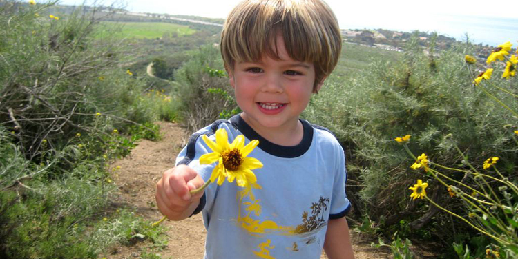 13周岁生日祝福句子,12岁生日感言简短些真实点