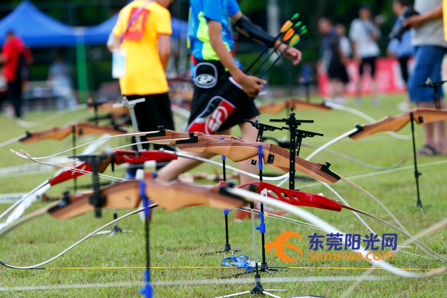 东莞市运会2023,东莞市第九届田径运动会