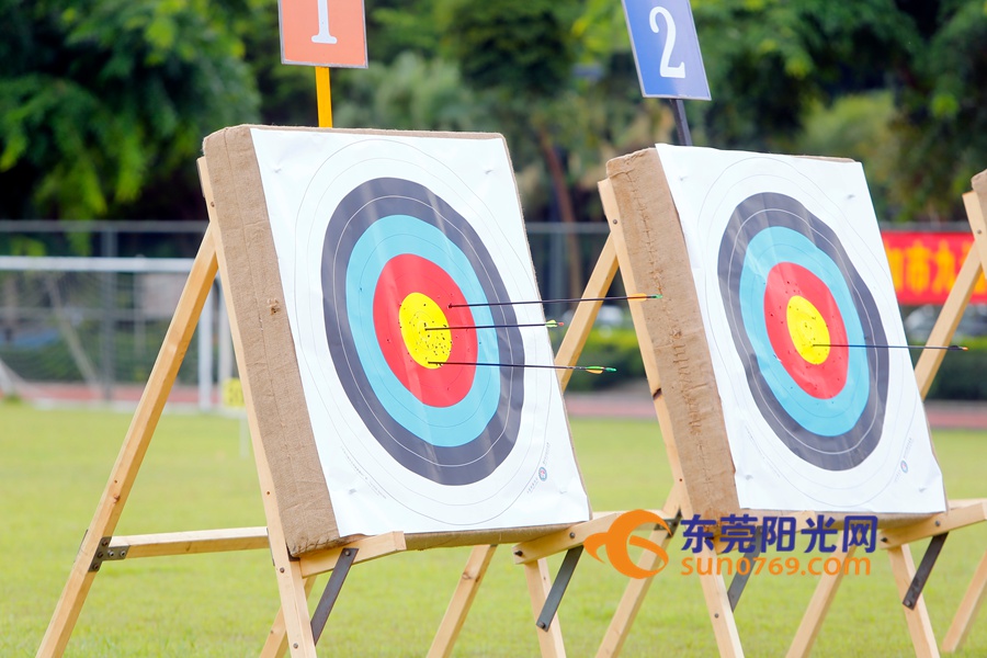 东莞市运会2023,东莞市第九届田径运动会