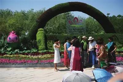 银川最近最火的新闻,银川最近火爆的新闻