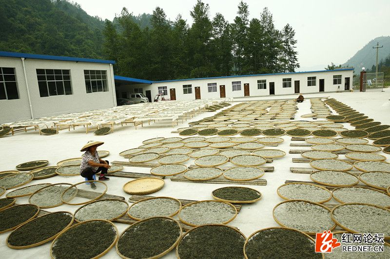 传说中的世外桃源：走进千年土家长寿村