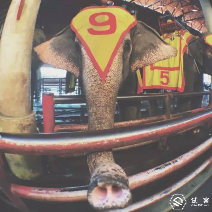 试用报告不错过每一个风景——带着SonyZ5去旅行