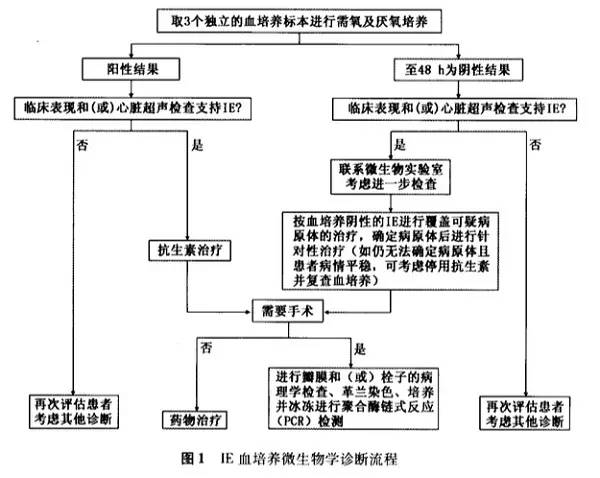 《成人感染性心内膜炎预防、诊断和治疗专家共识》解读