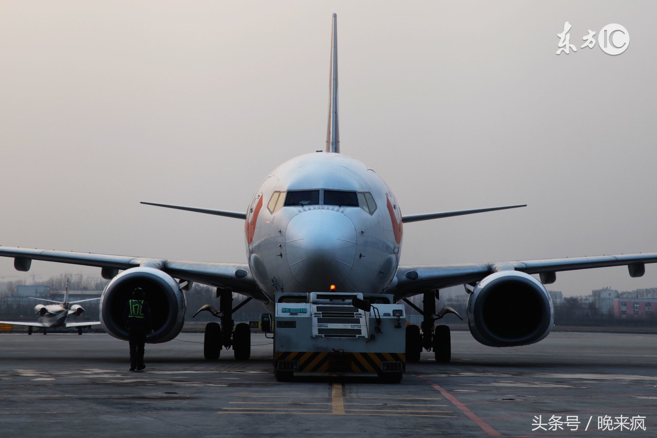 民间故事：空姐空少高大尚吧？可是他们养的宠物却让人无语，是什么呢？