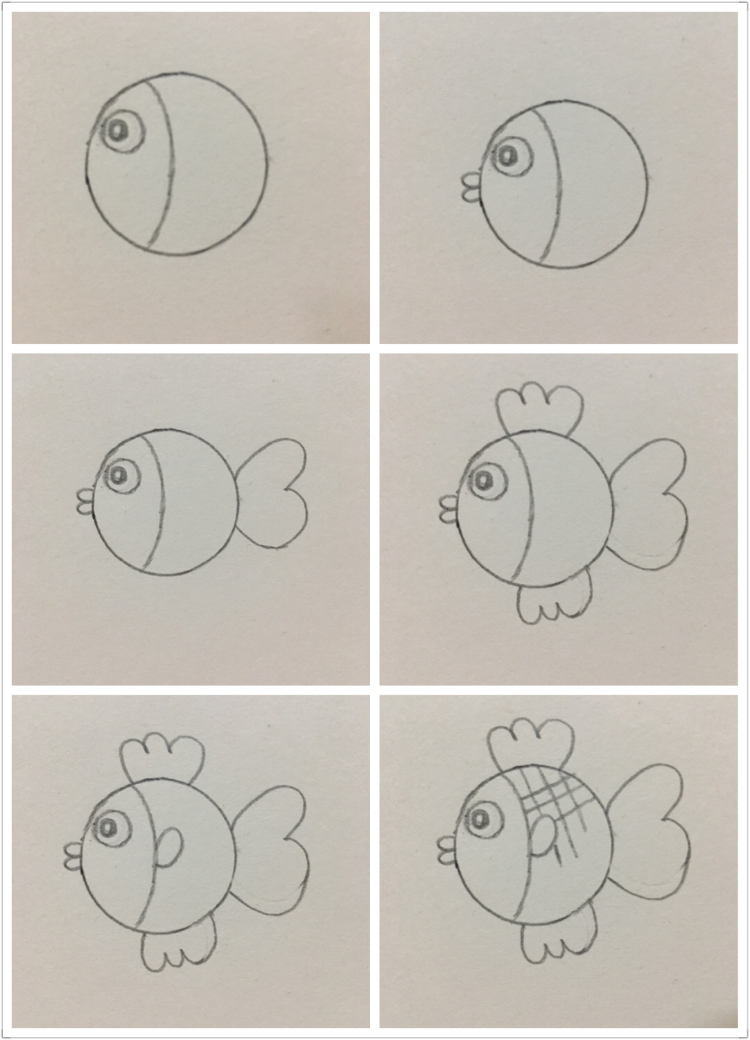 硬币画小羊简笔画,硬币画动物简笔画