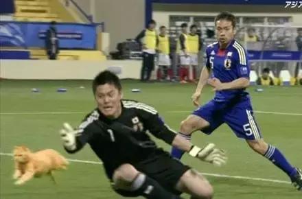 足球ps版,把足球p成猫