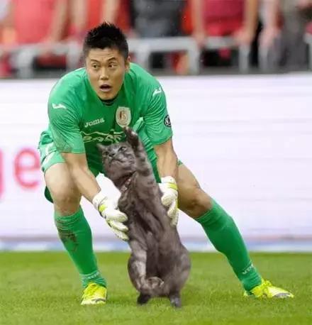 足球ps版,把足球p成猫