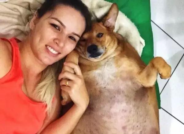 足球ps版,把足球p成猫