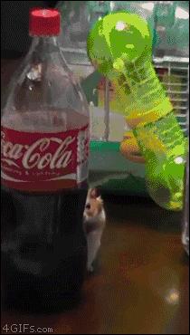 足球ps版,把足球p成猫