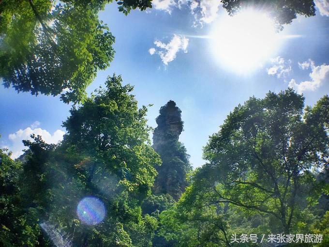 张家界凤凰4日游攻略,张家界凤凰五日游线路图片