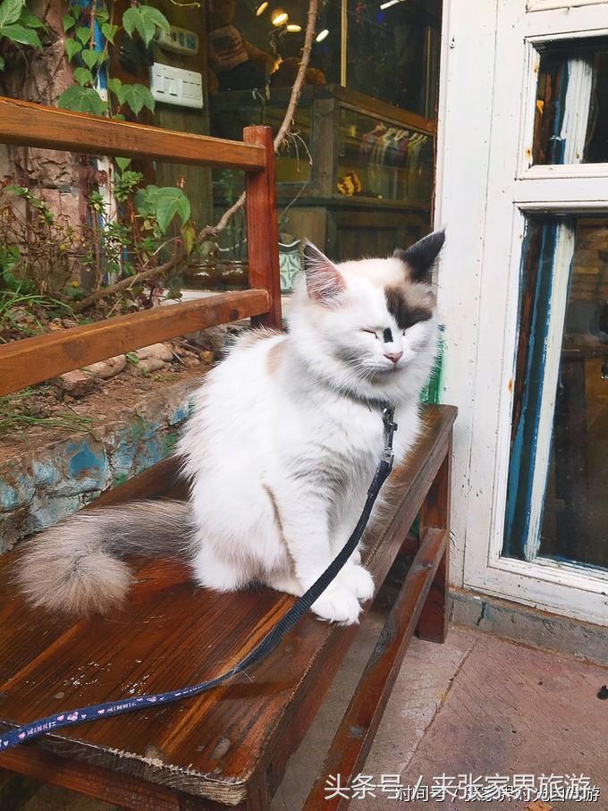 张家界凤凰4日游攻略,张家界凤凰五日游线路图片