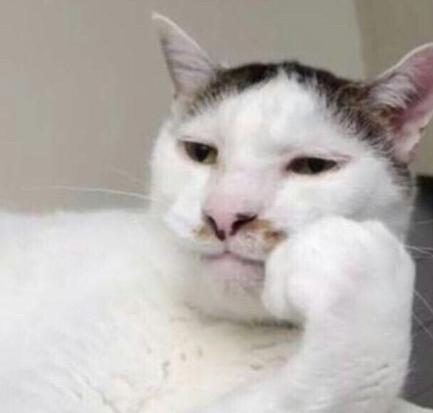 化妆小白的基础入门,化妆新手必备100个建议