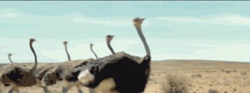 盗梦空间导演完整视频,盗梦空间导演力作