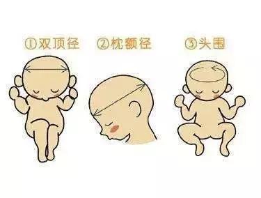 b超检查对胎儿有影响吗,b超检查胎儿头大怎么回事